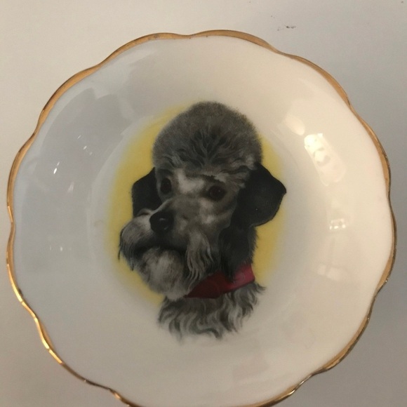 ROYAL GRAFTON | Vintage Rare Fine Bone China Small Plate With Poodle ๐ฉ Picture - Picture 3 of 5